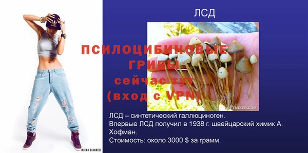 COCAINE Гусиноозёрск