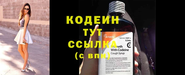стафф Дмитровск