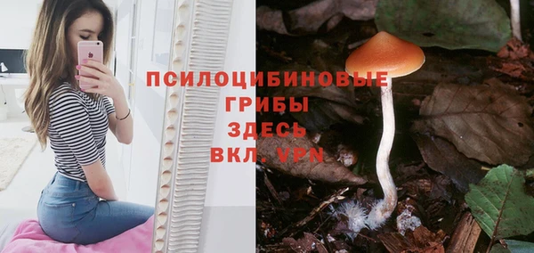 кокаин премиум Гусев