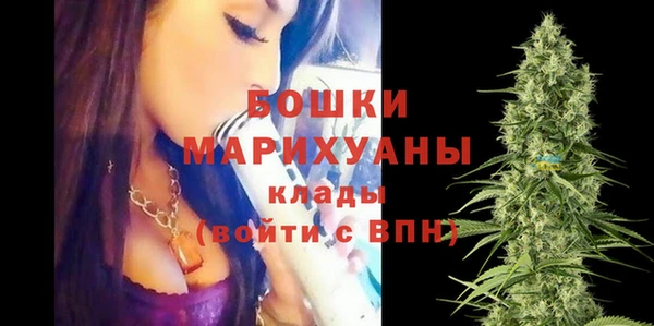 индика Дмитров