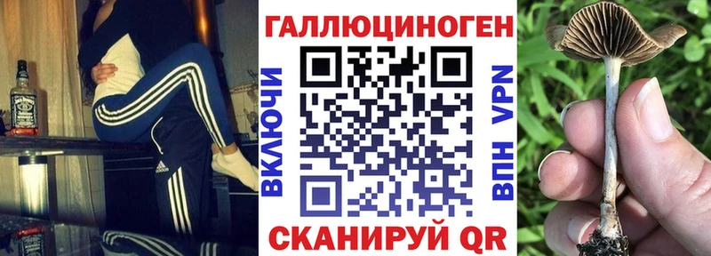 Галлюциногенные грибы GOLDEN TEACHER  Купить закладки  Короча 